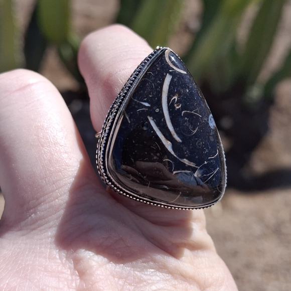 New Turritella Agate Fossi Silver Ring. - Picture 6 of 12